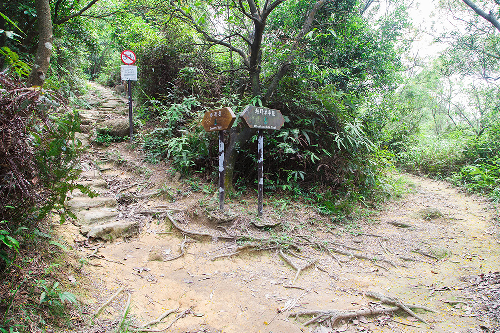 mountain bike trails close to me