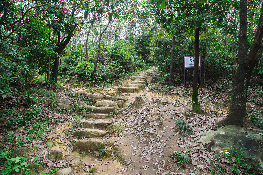 mountain bike trails close to me