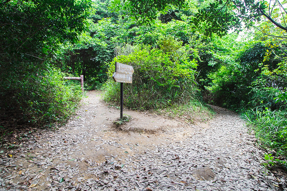 Enjoying sweeping views along High Junk Peak Country Trail